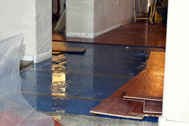 Professional Sewage Cleanup technician working in Harris, MN
